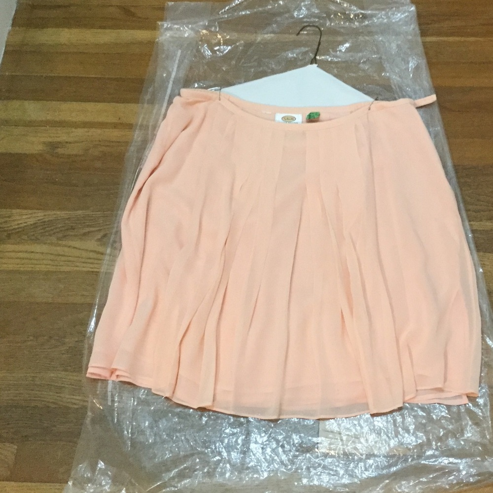 Silk Skirt